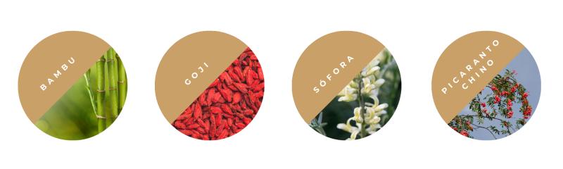 ingredientesdestacadoseurona